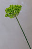 Coco's Plantation 18" Single SM Queen Ann Lace Green - Casa Febus - Home • Design