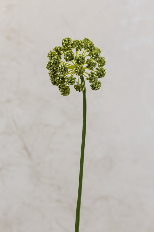Coco's Plantation 30" Flower Stem Green - Casa Febus - Home • Design